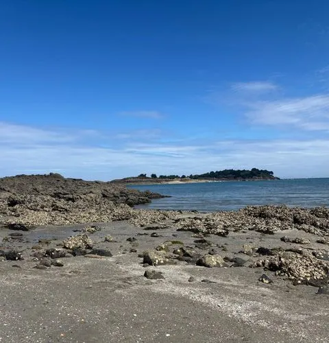 Cancale oyster beds - Fresh oysters in Brittany