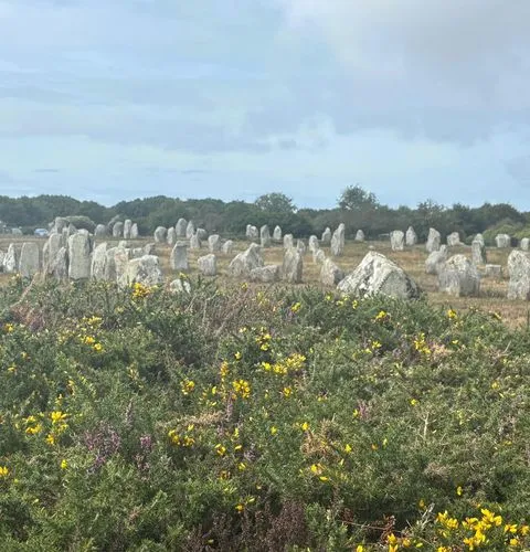 Le Ménec Carnac Alignments