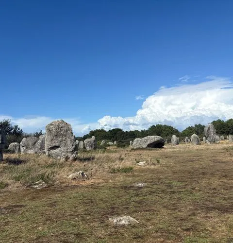 Carnac Megaliths Private Tour from Rennes