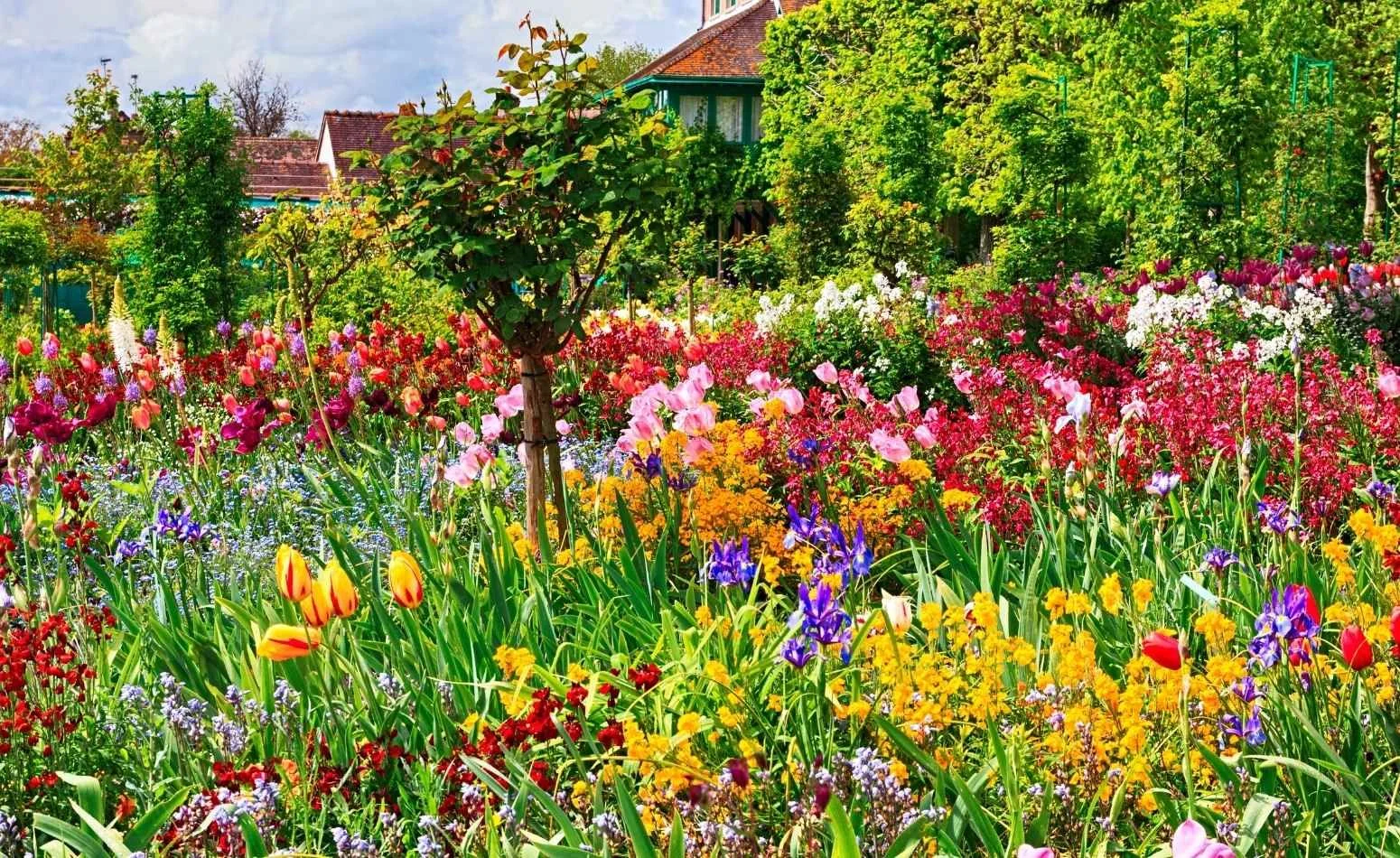 Giverny Private Tour