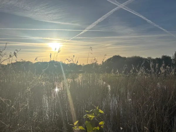 Sunset over the Briere marshes