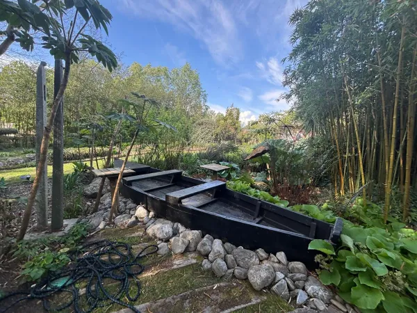 Traditional flat-bottomed boat in the garden