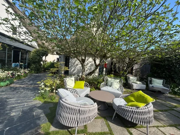 Designer armchairs on garden terrace