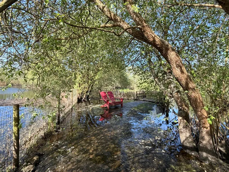 Red Adirondack chairs by the water under the trees in the Briere