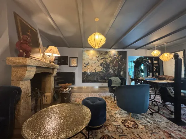 Salon with fireplace, cloud lamps and songbird mural