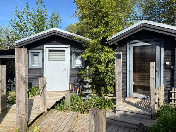 Stilted wooden cabins among bamboo