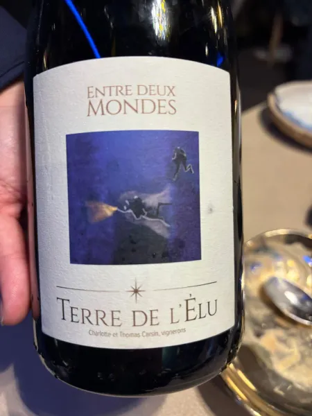 Wine bottle Entre Deux Mondes by Terre de l'Elu