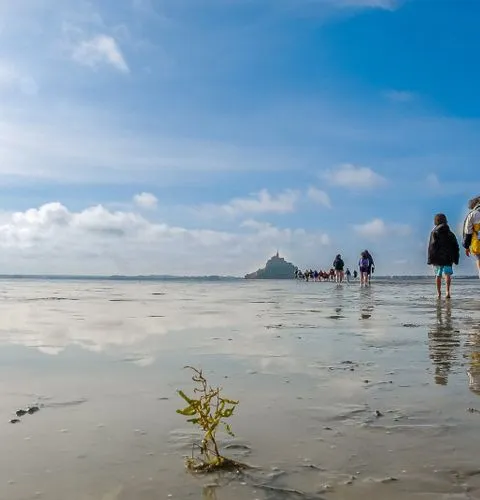 Mont Saint-Michel Private Tour from Rennes