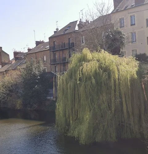 Little California Rennes